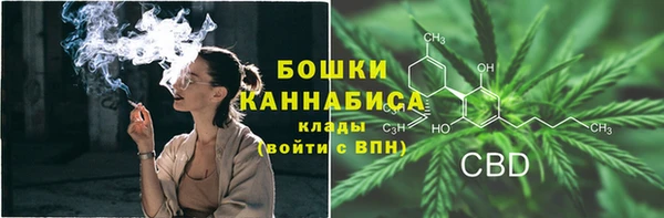 ПСИЛОЦИБИНОВЫЕ ГРИБЫ Касимов