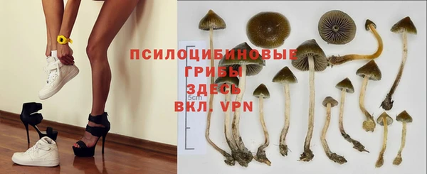 спиды Беломорск