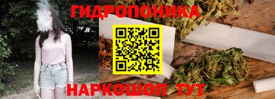 индика Ликино-Дулёво