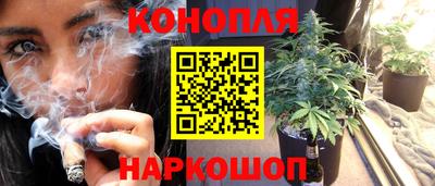 a pvp Лесосибирск